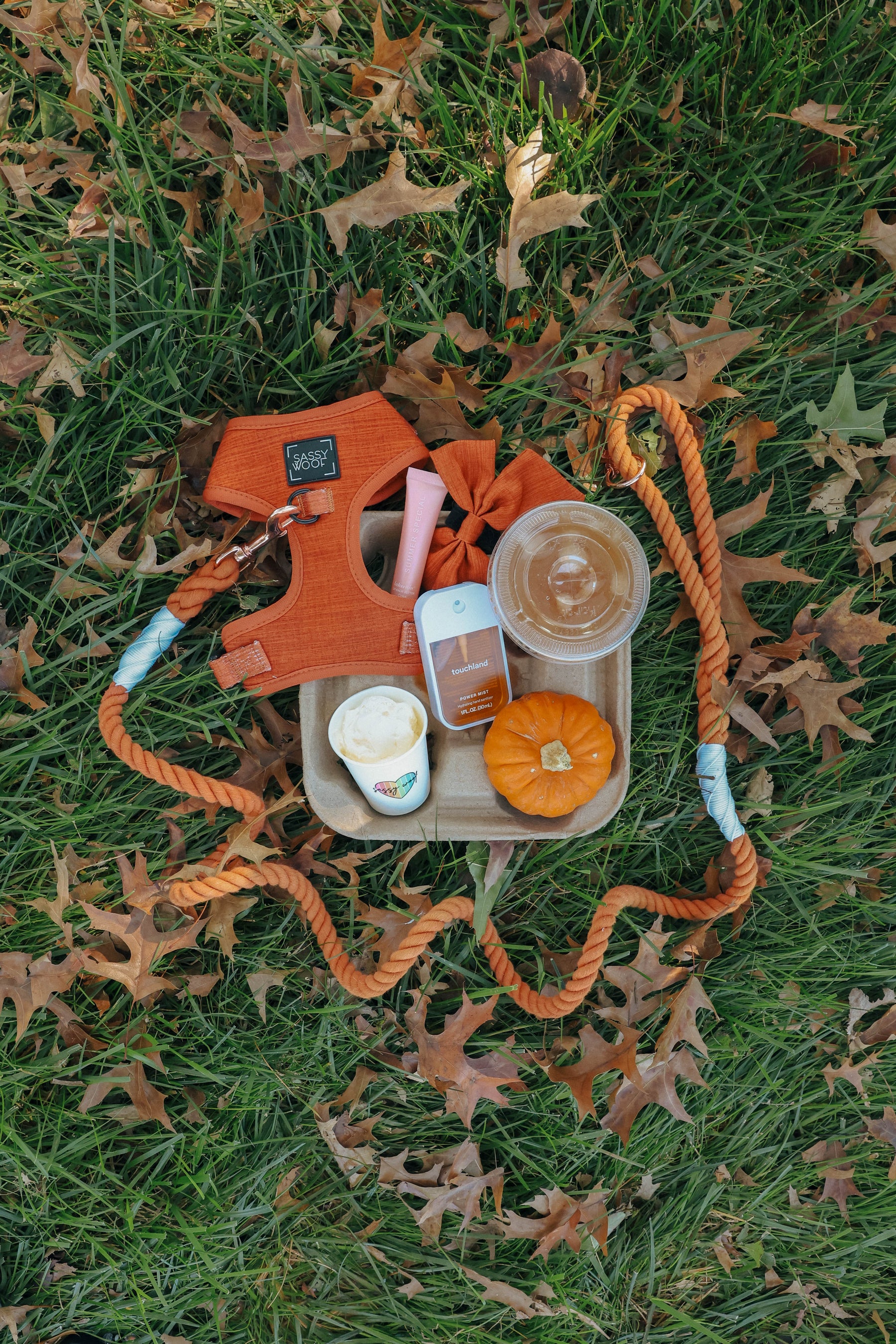 A Sassy Woof Dog Two Piece Bundle - Foxy consisting of an orange adjustable harness and leash on a tray with a pumpkin, coffee cup, hand sanitizer, and lip balm on a leaf-covered lawn.