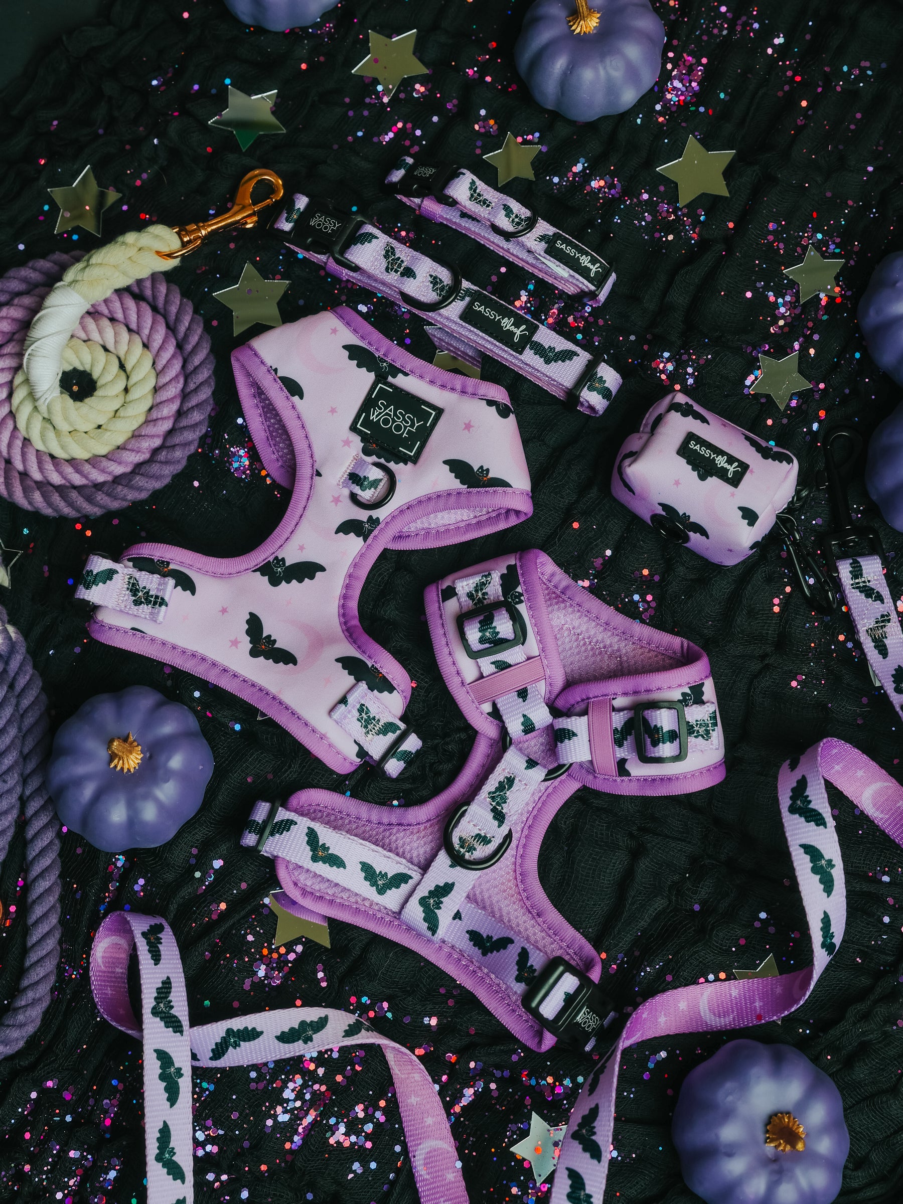 The Sassy Woof Dog Four Piece Bundle - Lil Batty features a matching adjustable harness, leash, and poop bag holder decorated with whimsical bat patterns from the Lil Batty collection. Arranged on a black textured surface and surrounded by faux purple pumpkins, gold stars, sparkles, and a coiled rope leash, this bundle is perfect for adding spooky style to your fall dog walk lineup. The adjustable dog harness ensures comfort and security for every adventure.