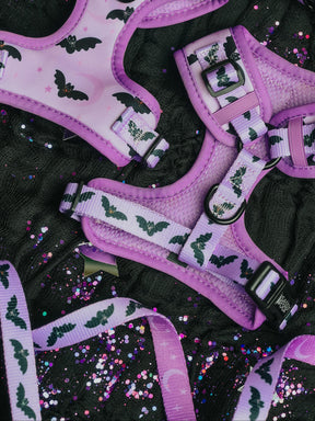 Sassy Woof’s Dog Two Piece Bundle - Lil Batty features adjustable purple harnesses and matching leashes adorned with playful bat patterns, displayed on a black glittery surface scattered with colorful sparkles—making it the perfect whimsical Fall set for spooky season strolls.