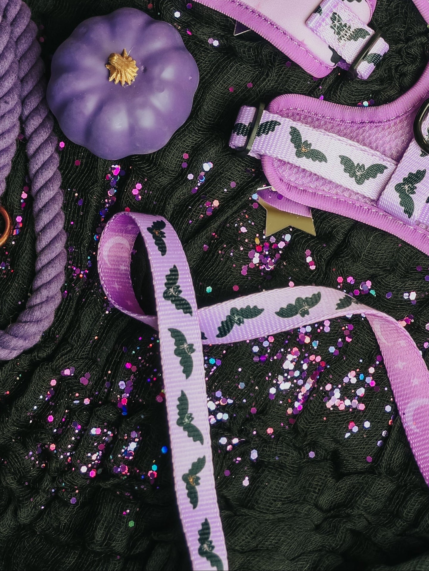 Add a touch of magic to your Fall dog collection with the Sassy Woof Dog Leash - Lil Batty, featuring bat prints on textured black fabric adorned with pink and purple glitter and a gold star charm—a pawfect match for purple pumpkins, purple rope accessories, or a pink bat-themed dog harness.