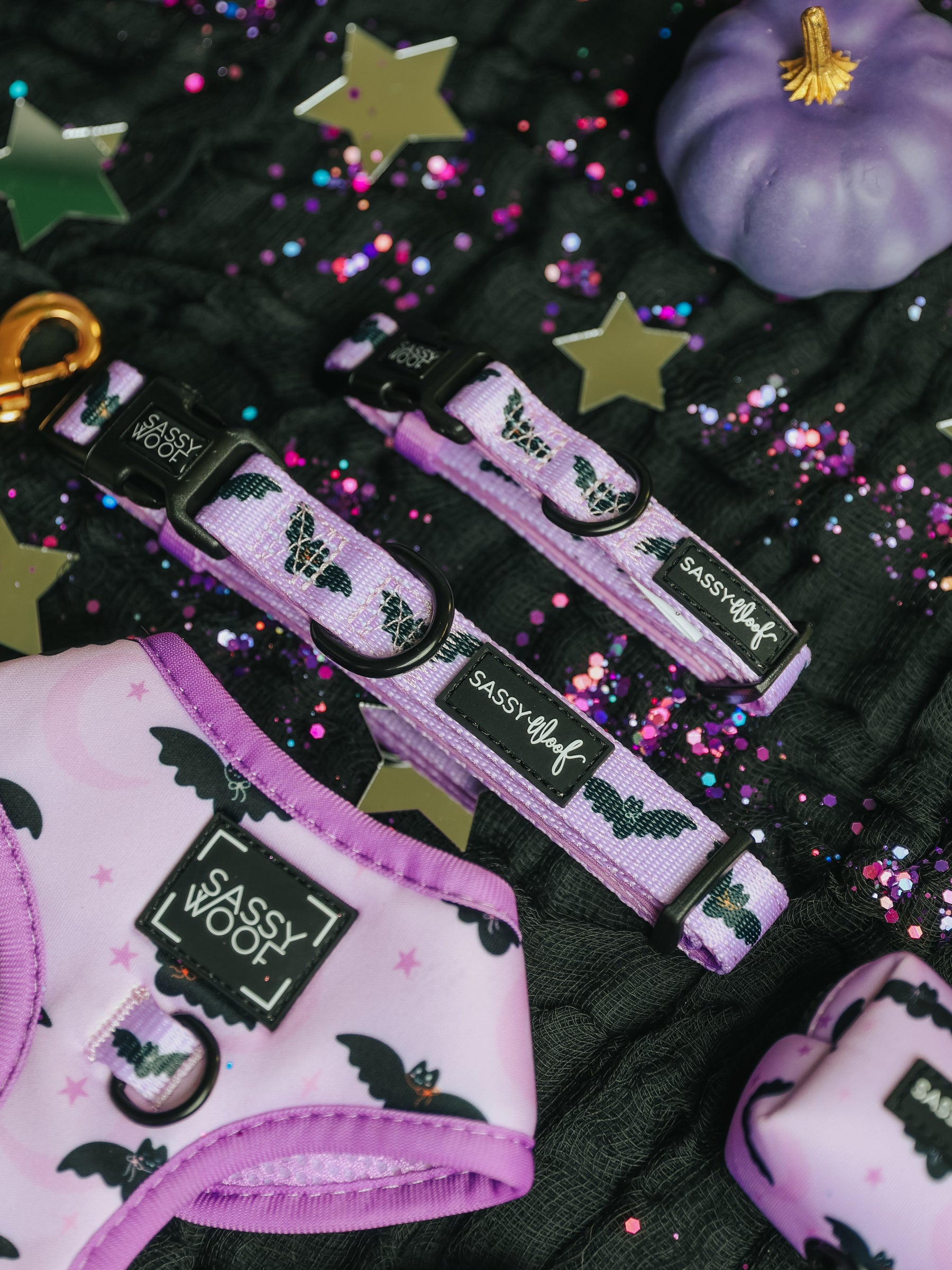 The Sassy Woof “Collar - Lil Batty” dog collar, along with a matching purple harness and leash featuring playful bat designs, is displayed on a textured black surface accented with gold stars, a purple pumpkin, and glitter details. These festive Halloween-themed accessories include an adjustable collar for the perfect fit—ideal for giving your pup a touch of spooky style during Fall adventures.