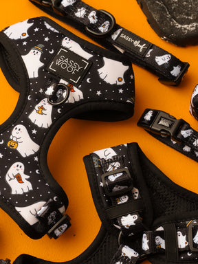 Sassy Woof’s Lil Boo Thing Dog Adjustable Harness features cute white ghost and star patterns on a black background, making it the perfect festive accessory for your pup this Halloween.