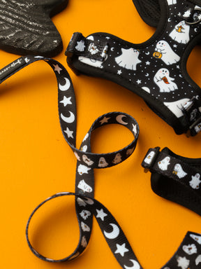 A Dog Three Piece Bundle - Lil Boo Thing by Sassy Woof is displayed on an orange surface, showcasing a black leash set and harness adorned with white ghost, star, and moon patterns for a perfect Halloween vibe.