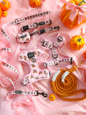 Explore the Dog Four Piece Bundle - Sassy Lil Pumpkins by Sassy Woof, featuring pink dog harnesses, leashes, and accessories decorated with charming gingerbread patterns. Each adjustable harness and cute collar is set against a pink fabric background, accented with small pumpkins, a gift-wrapped pumpkin, and an orange rope leash elegantly coiled into a spiral for an added festive flair.