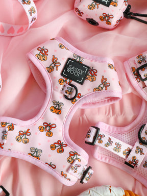 Sassy Woof’s Dog Two Piece Bundle - Sassy Lil Pumpkins features adorable, adjustable dog harnesses with a playful pattern of smiling oranges tied with red bows, beautifully displayed on a soft pink fabric background alongside matching accessories. Perfect for pups who love fun and festive style, this bundle is part of the Sassy Lil Pumpkins Dog Collection—pair it with your favorite pumpkin dog harness for an irresistibly cute look.