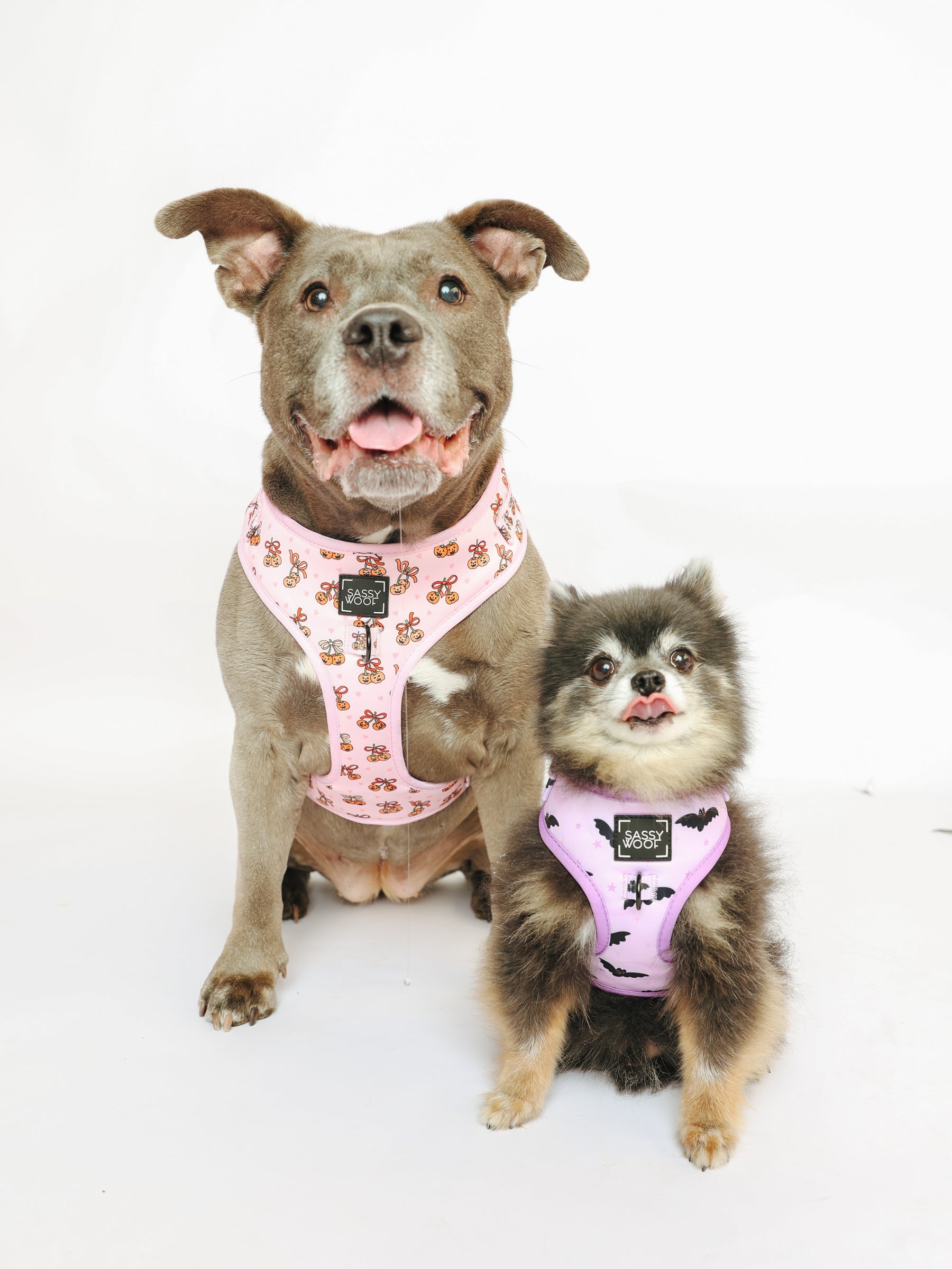 Two dogs, one large and gray with floppy ears and the other small, fluffy, and black with tan markings, sit side by side on a white background. Both are wearing the Sassy Woof Dog Adjustable Harness in the Lil Batty design. They look forward with tongues out, showing off their stylish and adjustable harnesses.