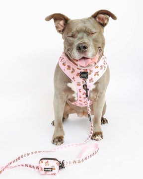 @PEANUTANDLOIS I COLLAR SIZE: L & HARNESS SIZE: XL