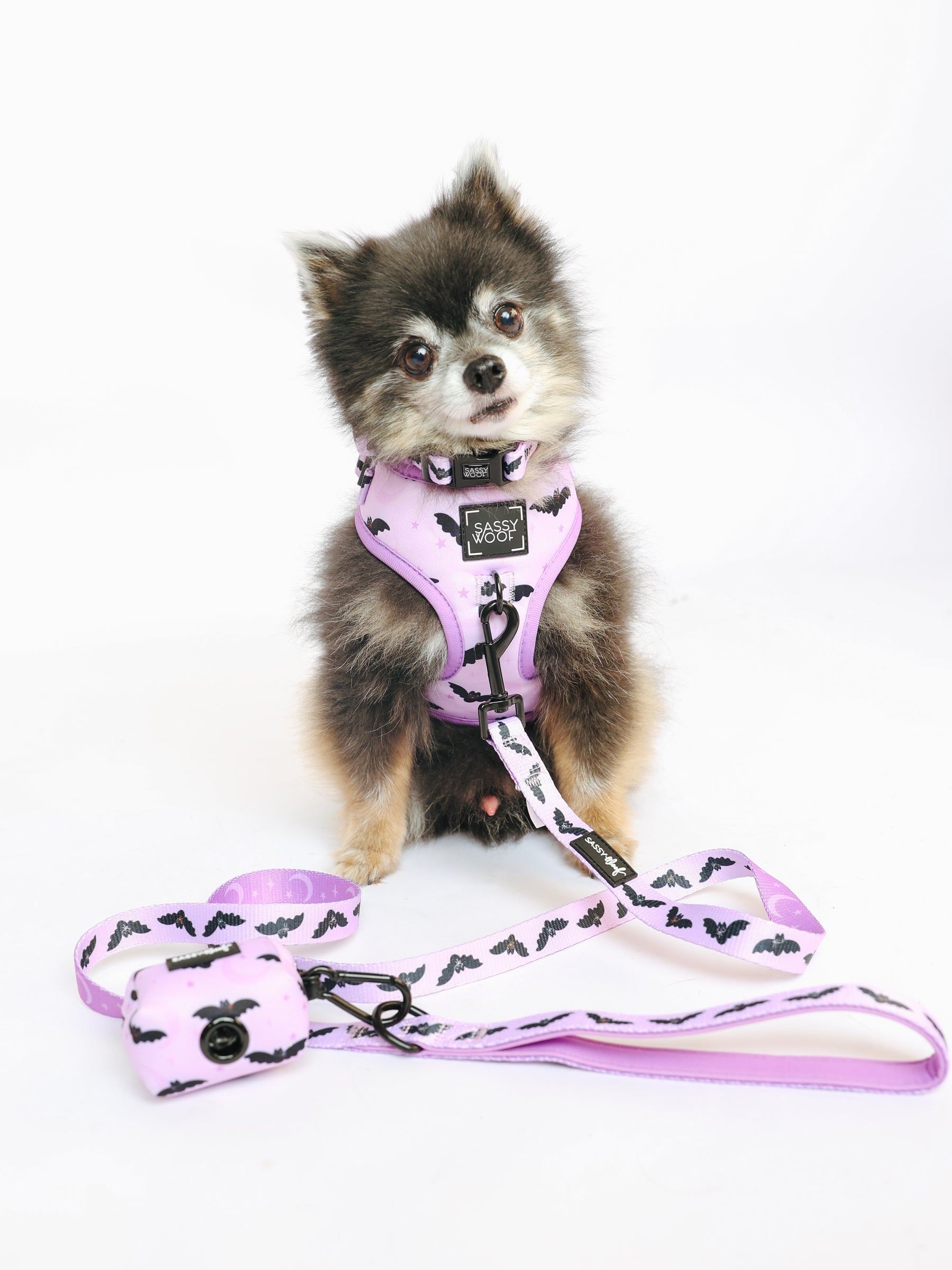 @PEANUTANDLOIS I COLLAR SIZE: S & HARNESS SIZE: XS