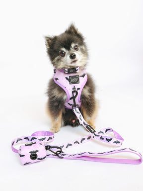 @PEANUTANDLOIS I COLLAR SIZE: S & HARNESS SIZE: XS