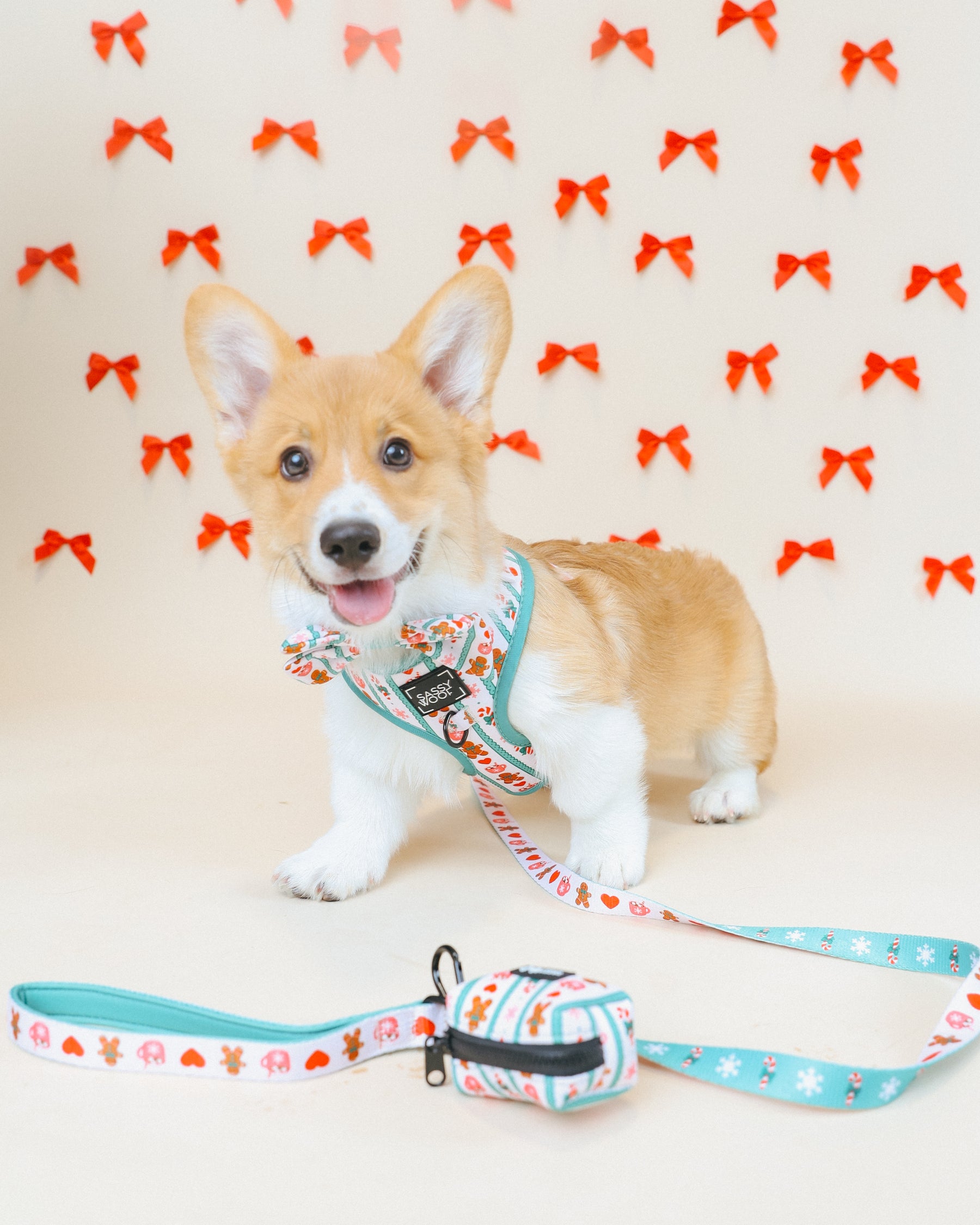 INFLUENCER_CONTENT | @TOFUWADDLES | HARNESS SIZE: XS & COLLAR SIZES: S 