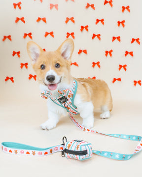 INFLUENCER_CONTENT | @TOFUWADDLES | HARNESS SIZE: XS & COLLAR SIZES: S 