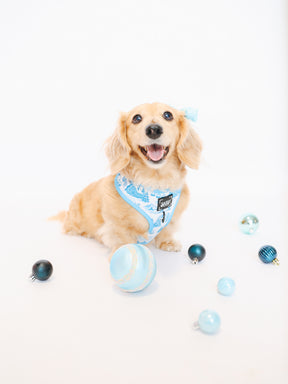 INFLUENCER_CONTENT | @MAYATHEDOX | COLLAR S & HARNESS XS