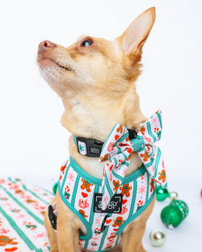 INFLUENCER_CONTENT | @RAT_AND_BUG | HARNESS SIZE: XS & COLLAR SIZE: S