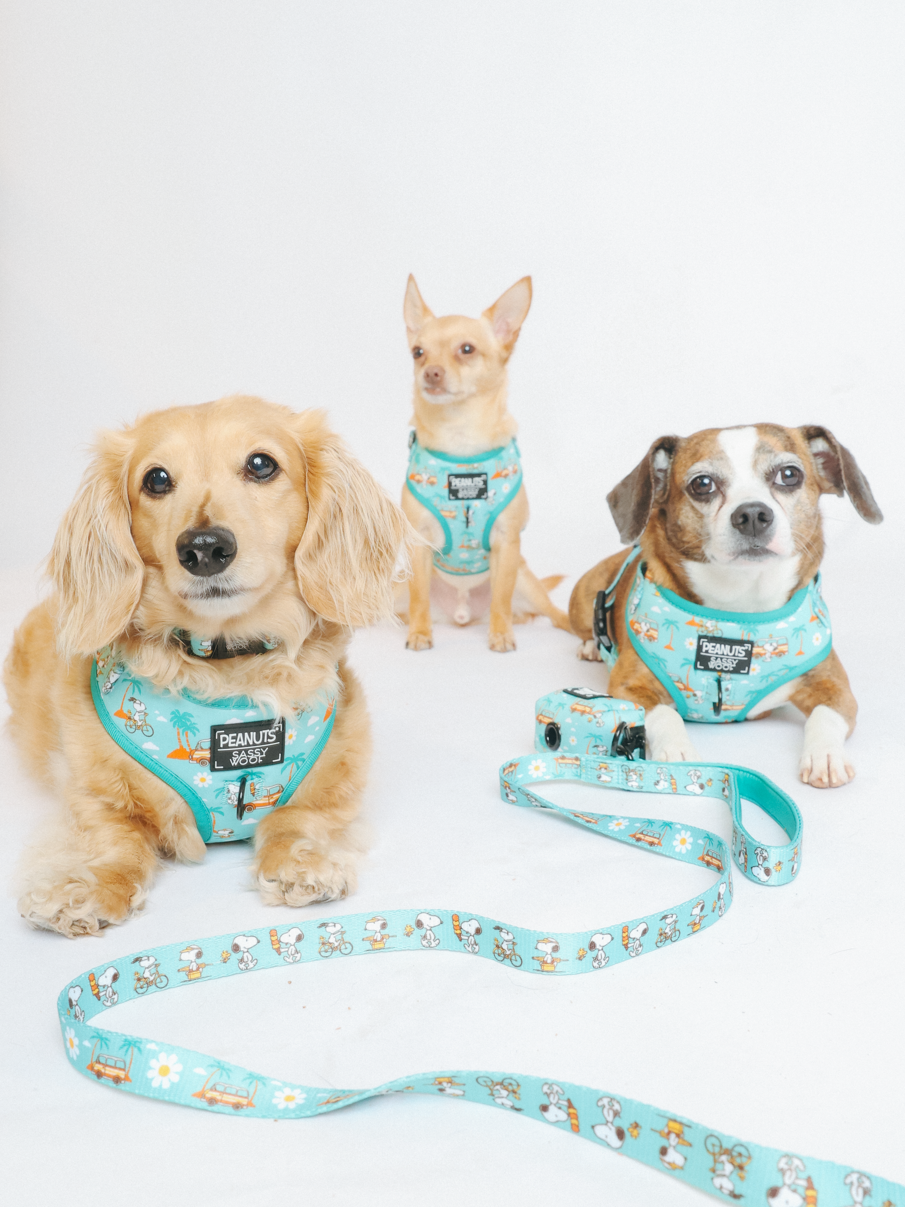 INFLUENCER_CONTENT | @MAYATHEDOX @RAT_AND_BUG @SMALLROSIEPOSIE | SIZE XS, XS, & S