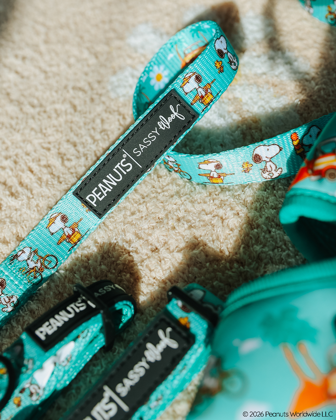 A close-up of the Sassy Woof Collar Three Piece Bundle - Peanuts™ Road Trippin', featuring Snoopy and Woodstock with a black PEANUTS | Sassy Woof tag, on a beige carpet—stylish adventure gear for pups.