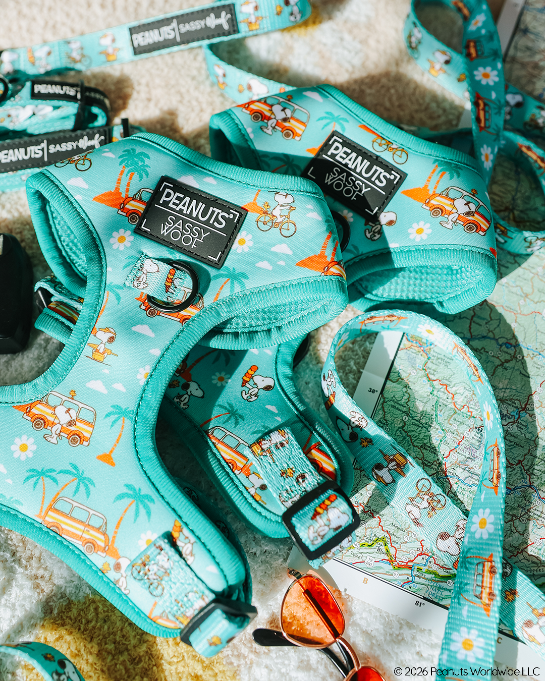The Sassy Woof Dog Two Piece Bundle - Peanuts™ Road Trippin' features turquoise adjustable harnesses with a Snoopy beach print and travel essentials, making it perfect adventure gear for dogs on the go.