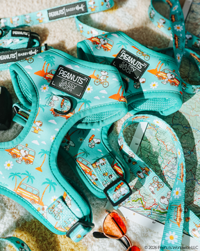 The Sassy Woof Dog Two Piece Bundle - Peanuts™ Road Trippin' features turquoise adjustable harnesses with a Snoopy beach print and travel essentials, making it perfect adventure gear for dogs on the go.