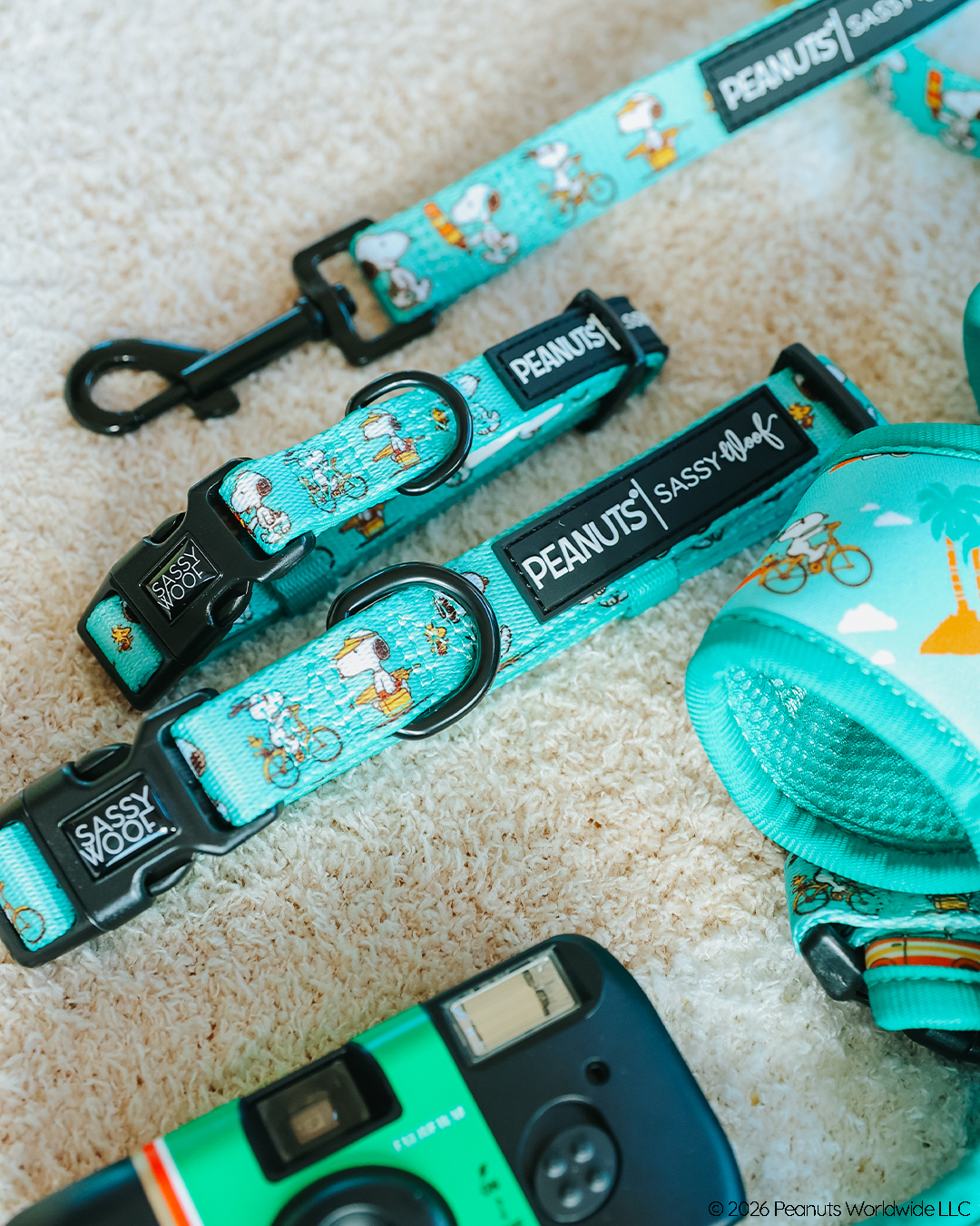 The Sassy Woof Dog Collar - Peanuts™ Road Trippin' is a turquoise, adjustable collar and leash set with Peanuts characters, shown on a beige carpet beside a green disposable camera—adventure-ready gear for playful pups.