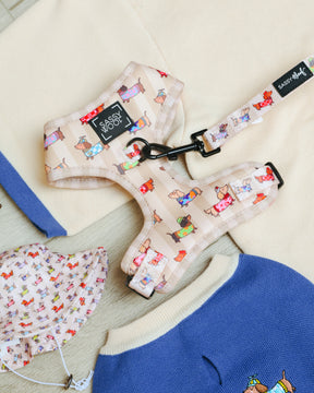 The Sassy Woof Dog Two Piece Bundle - Sunbean, an adjustable beige harness and leash set adorned with colorful cartoon Doxie prints, is shown displayed on folded clothes and a hat featuring a matching dog design.