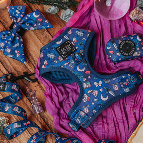Dog Two Piece Bundle - Spellbound