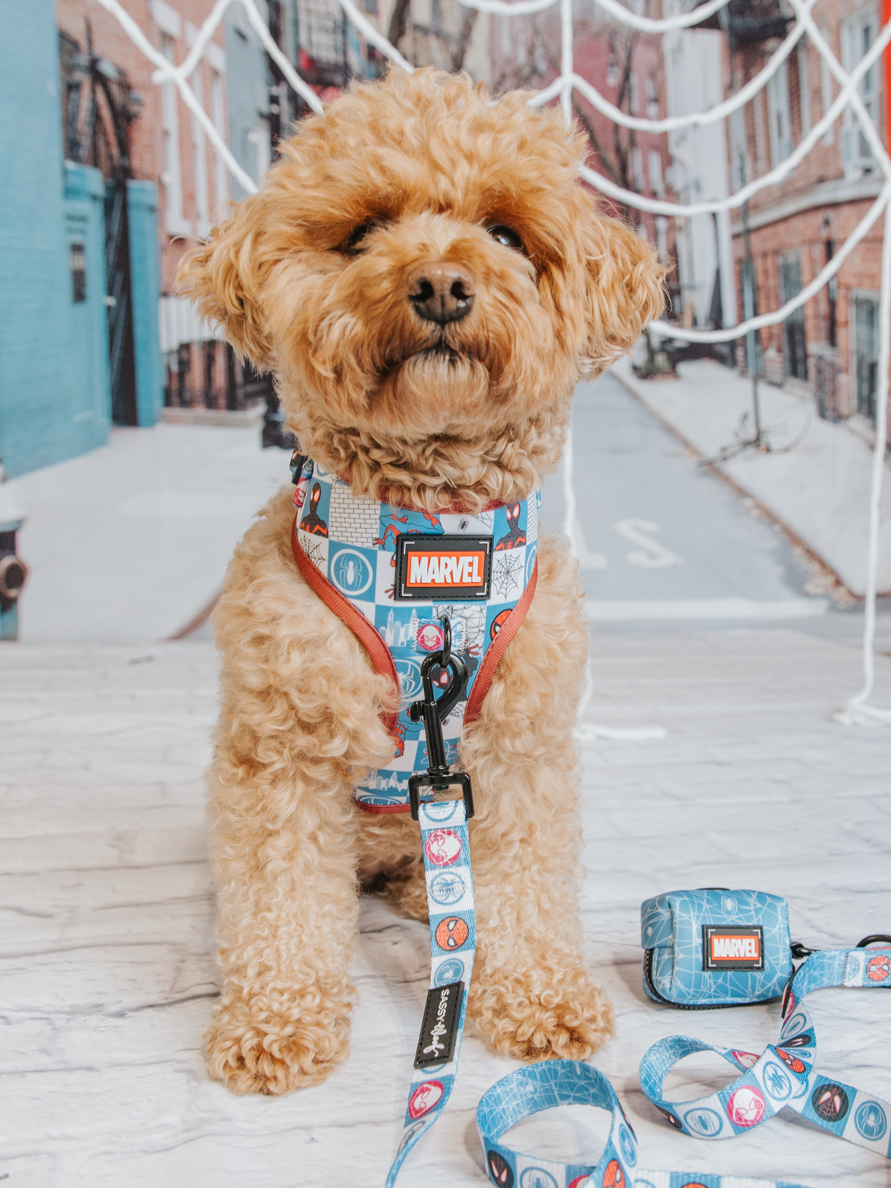 Dog Adjustable Harness - Marvel’s Spider-Man