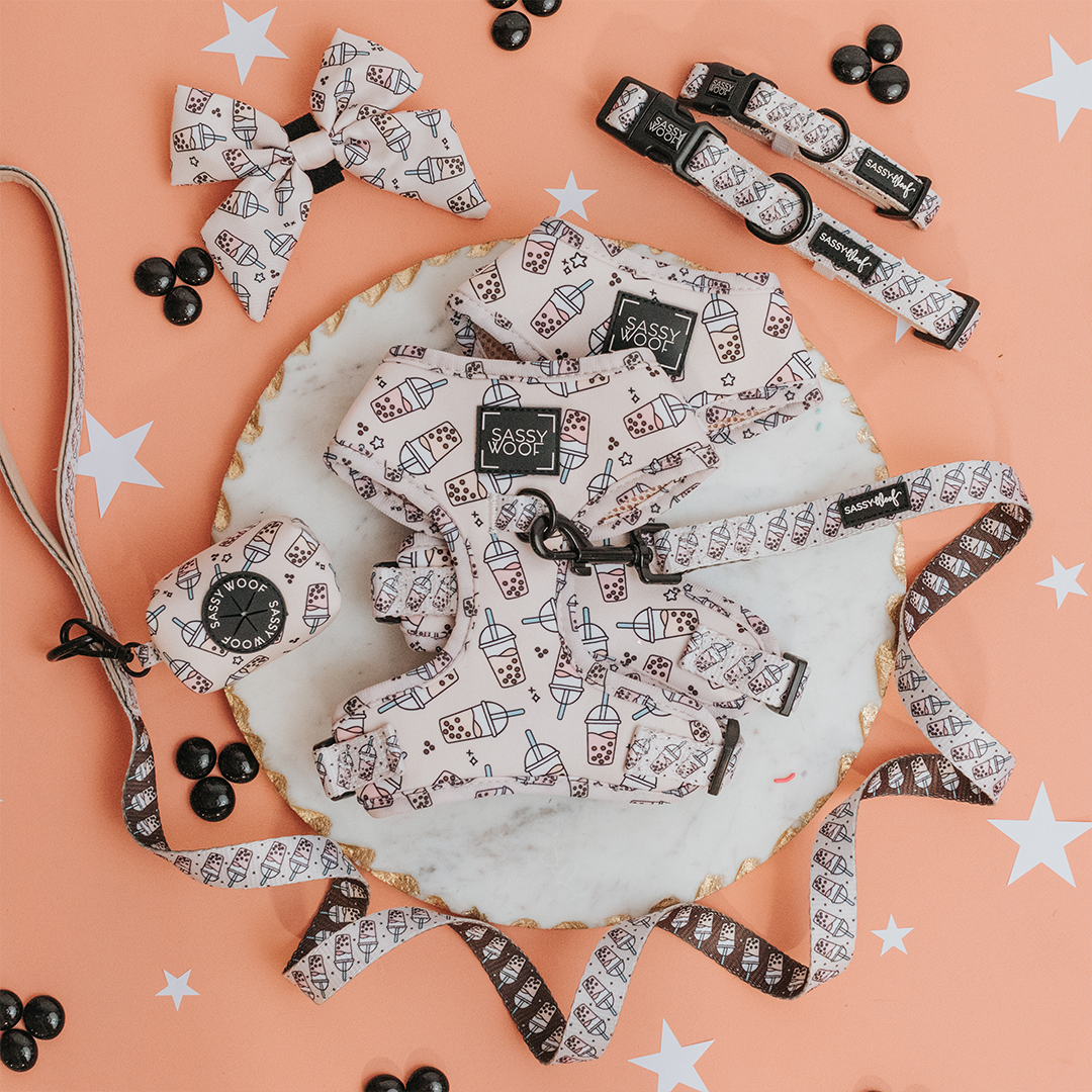 Collection of pet accessories including collars, bows, and a bandana on a pink background with star decorations.