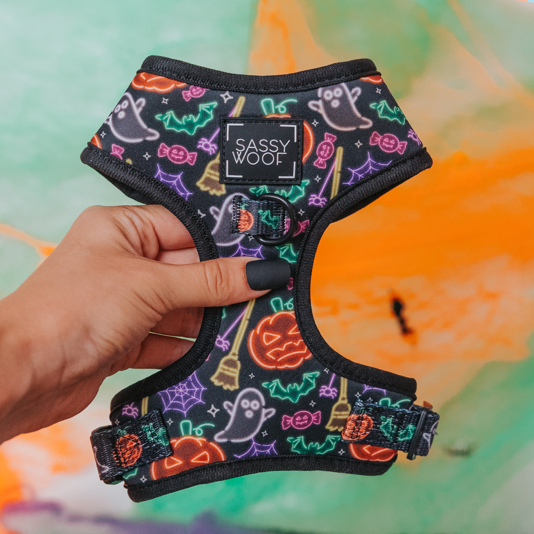 Halloween-themed dog harness with colorful designs held by a hand against a colorful background.
