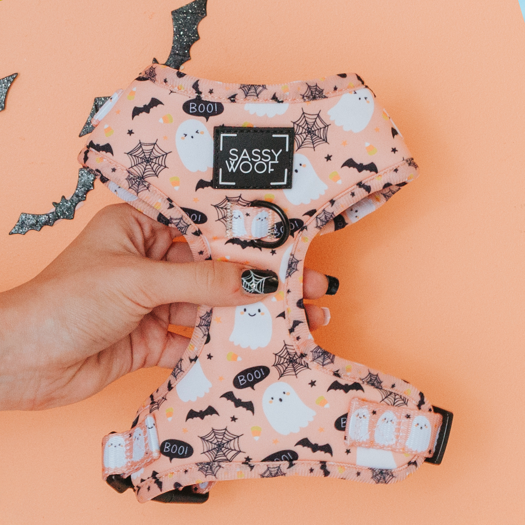 Halloween-themed dog harness with ghost and spider web pattern held by a hand on an orange background