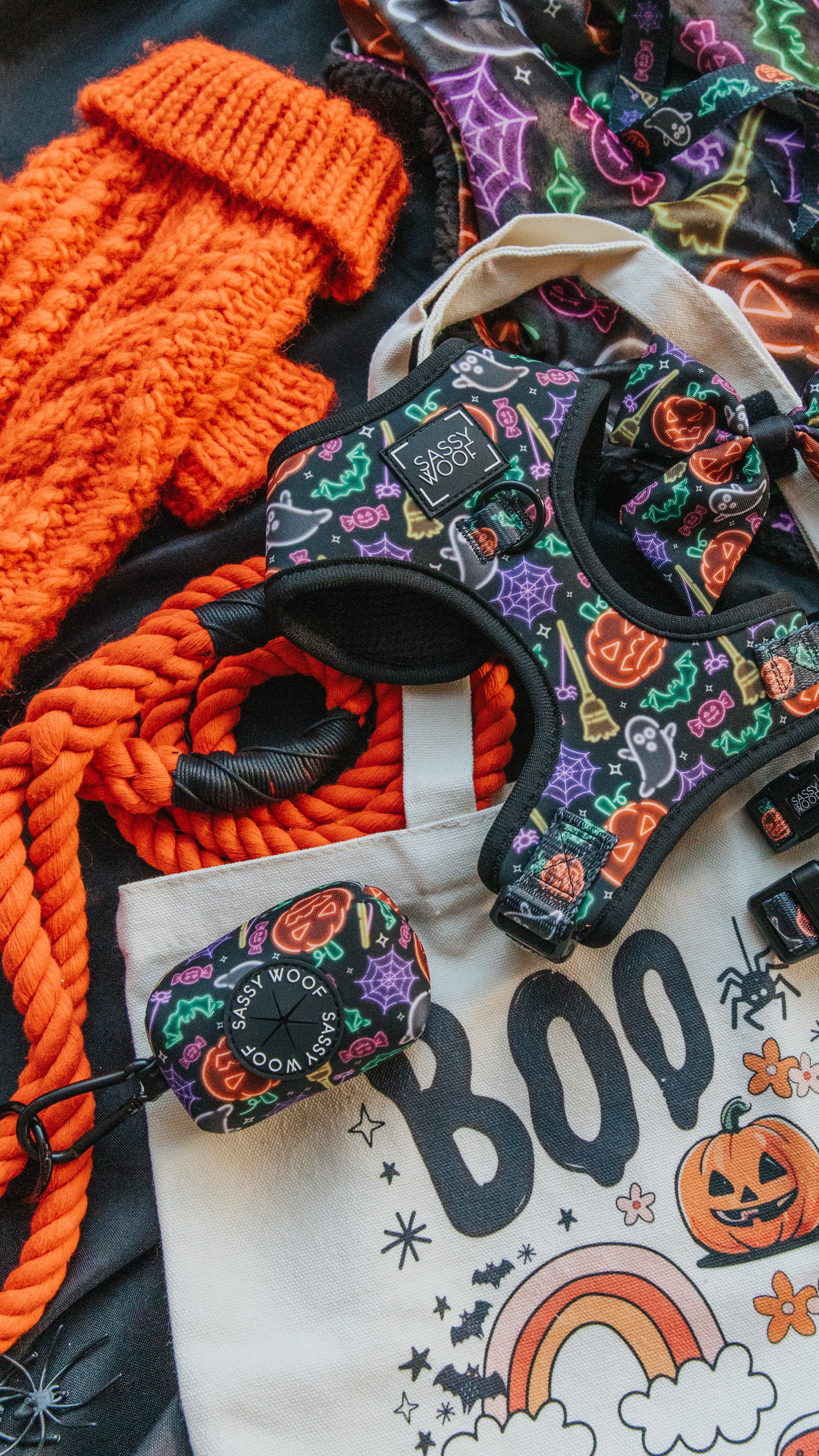 Halloween-themed dog harness, leash, and bag on a colorful background