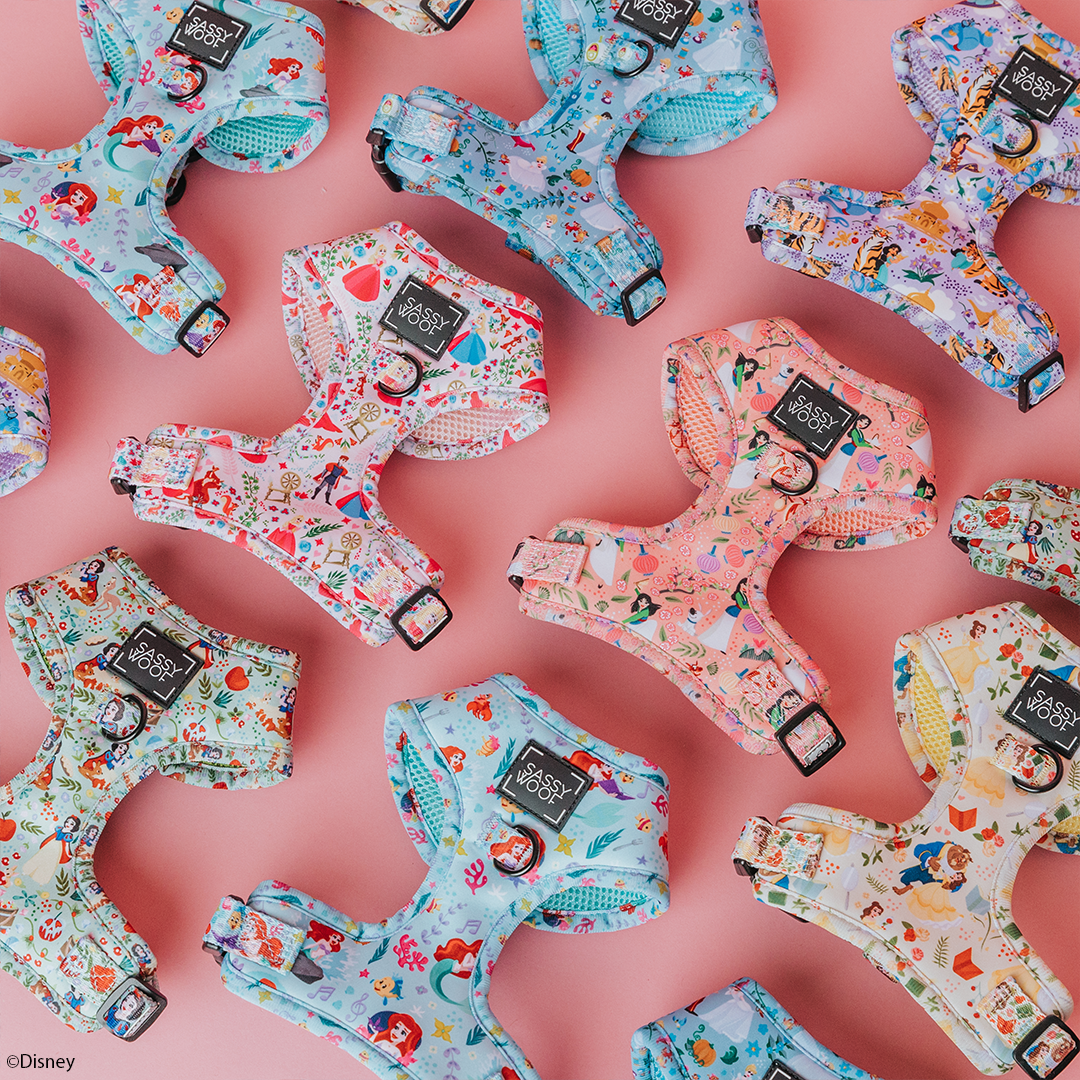 an assortment of bright colored dog harnesses