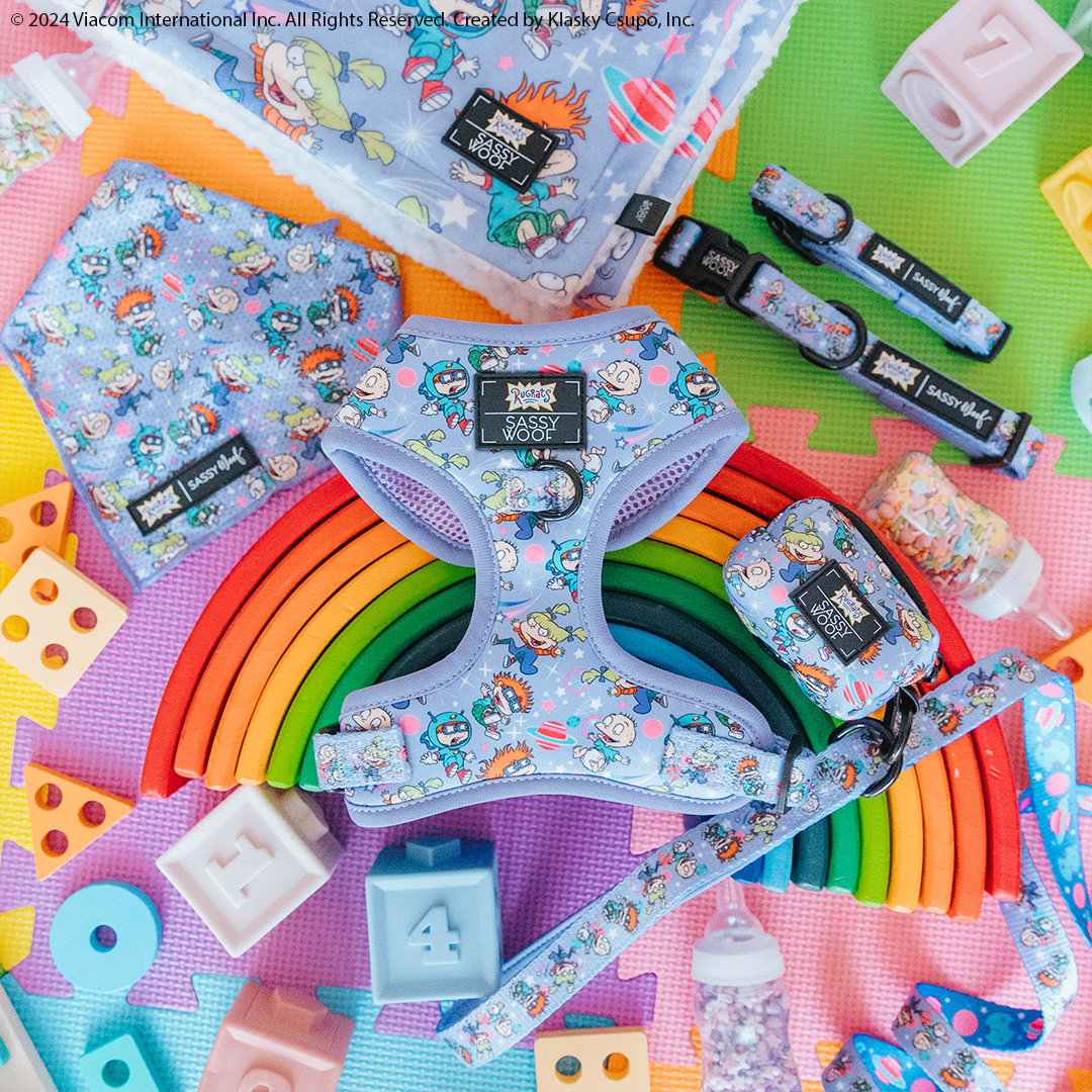 an assortment of bright colored dog accessories