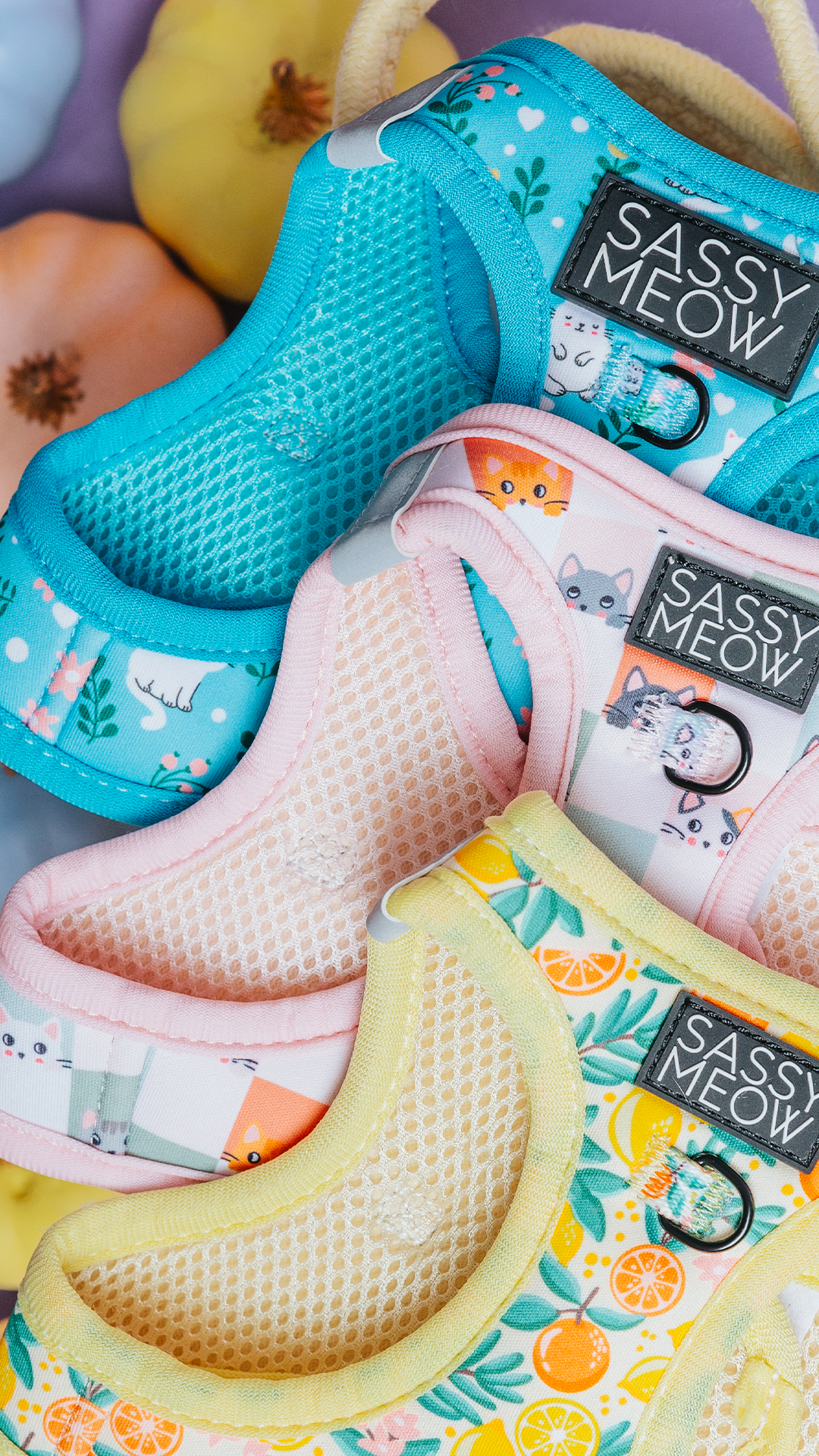 Sassy Meow baby products including a blue bib, pink teether, and yellow toy on a colorful background.