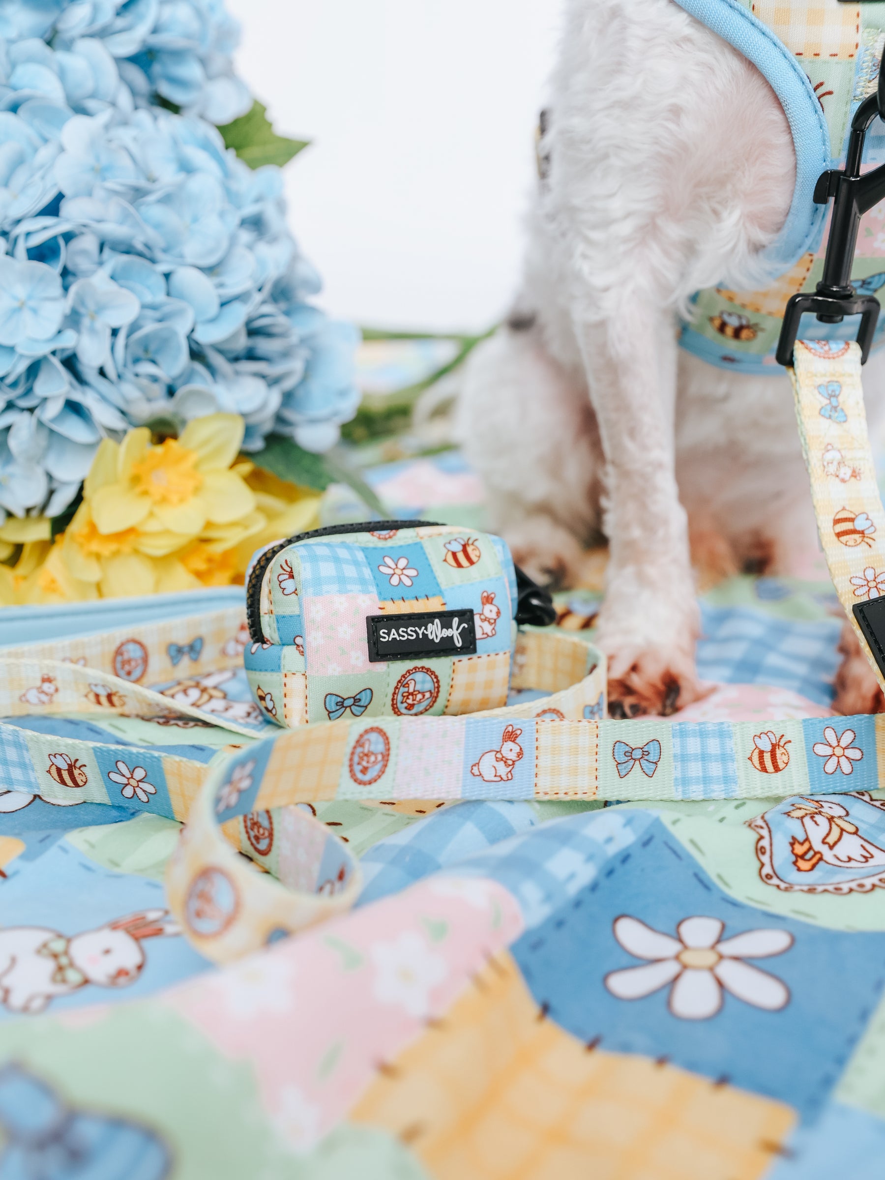 INFLUENCER_CONTENT | @HAVAENSEMORNING | 