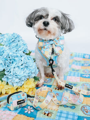 A small gray and white dog sits on a quilted blanket next to blue and yellow flowers, wearing Sassy Woof's Patch Perfect adjustable harness and leash. A matching accessory pouch is placed in front of the dog.