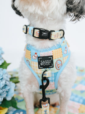 INFLUENCER_CONTENT | @HAVANESEMORNING | SIZE XS