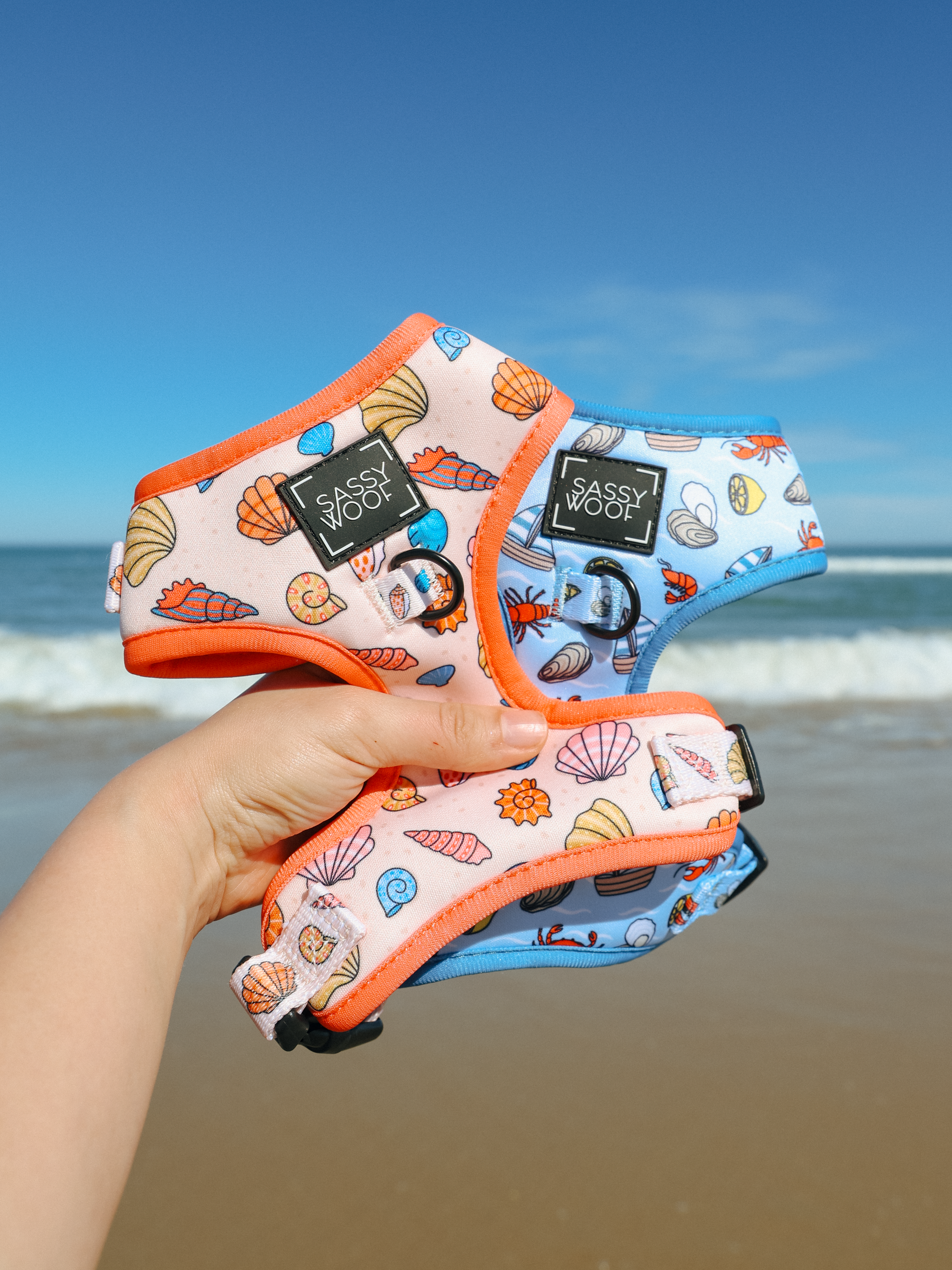 Dog Four Piece Bundle - Shell Yeah