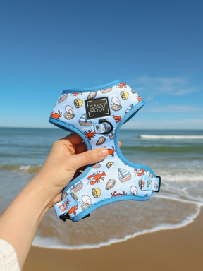 Dog Two Piece Bundle - Coastal Cuties