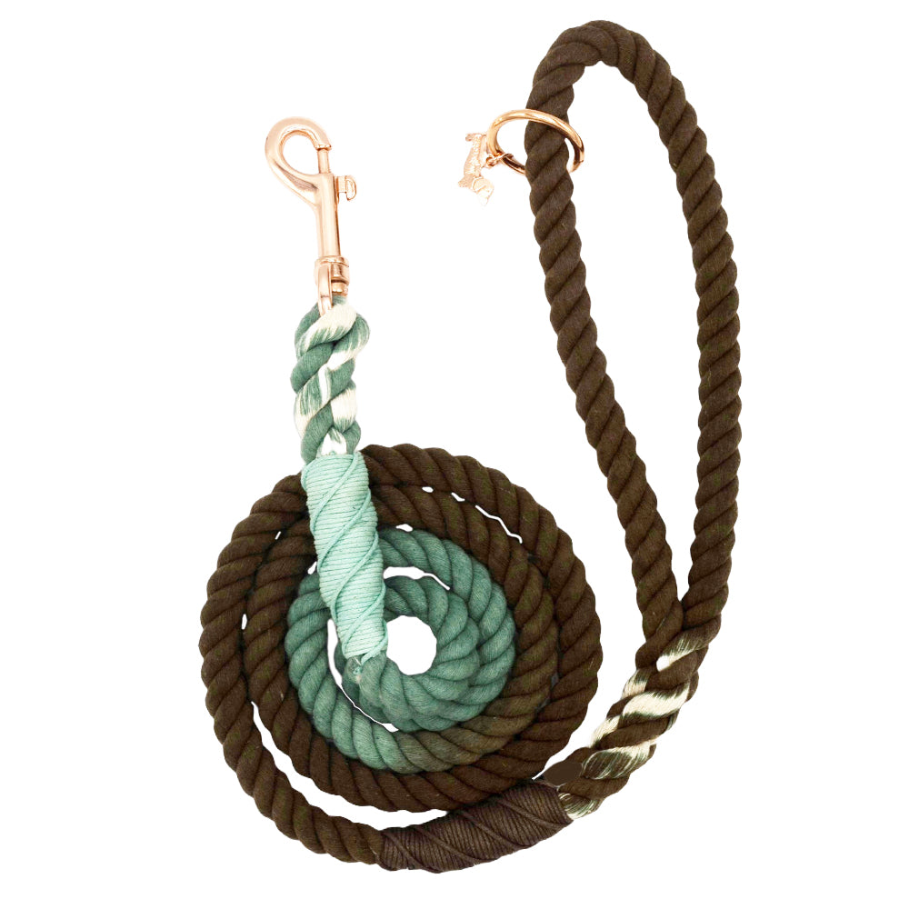 Dog Rope Leash - Tail Mix | Sassy Woof Product
