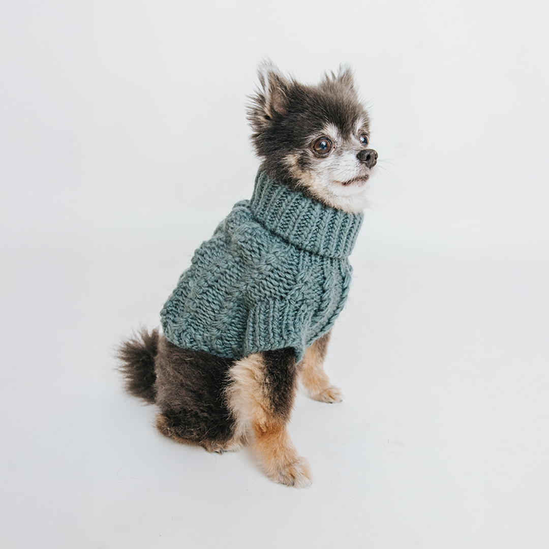 A small, fluffy dog with black and tan fur is sitting and wearing the Sassy Woof Pet Cable Knit Sweater in Teal—one of the coziest warm dog clothes—against a plain white background.