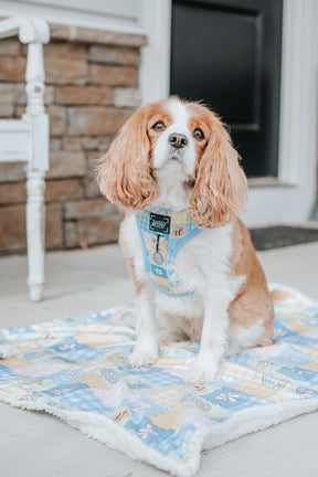 INFLUENCER_CONTENT | @THE.THREECAVALIERS | SIZE M & S