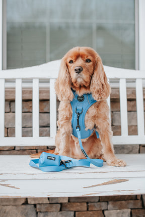 INFLUENCER_CONTENT | @THE.THREECAVALIERS | SIZE M & M