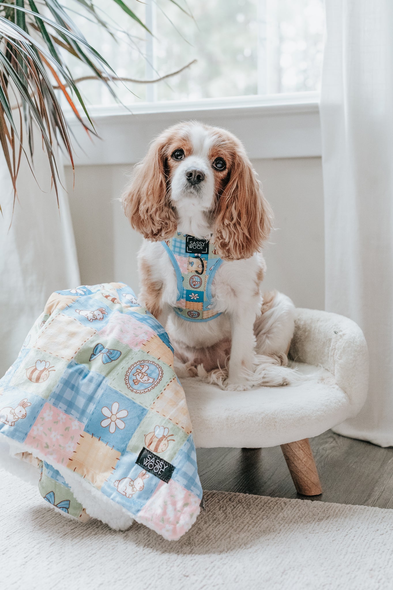 INFLUENCER_CONTENT | @THE.THREECAVALIERS | SIZE M & S