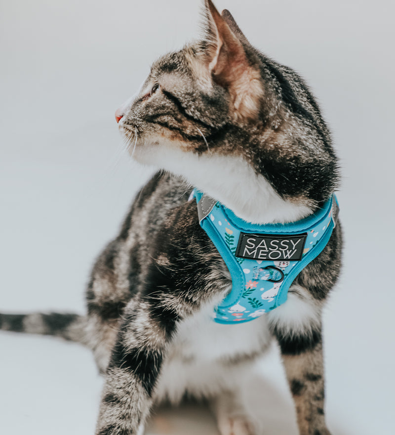 Cat StepIn Harness Purrs & Petals Sassy Woof Product