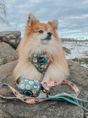 INFLUENCER_CONTENT | @VADER.THE.POM