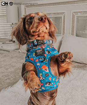 INFLUENCER_CONTENT | @WAFFLESTHEHOTDOG | SIZE M