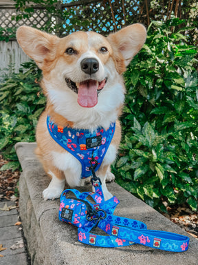 INFLUENCER_CONTENT | @WAFFLE.THE.WIGGLEBUTT | SIZE M & L