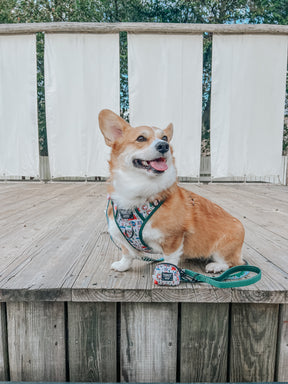 INFLUENCER_CONTENT | @WAFFLE.THE.WIGGLEBUTT | SIZE M & L