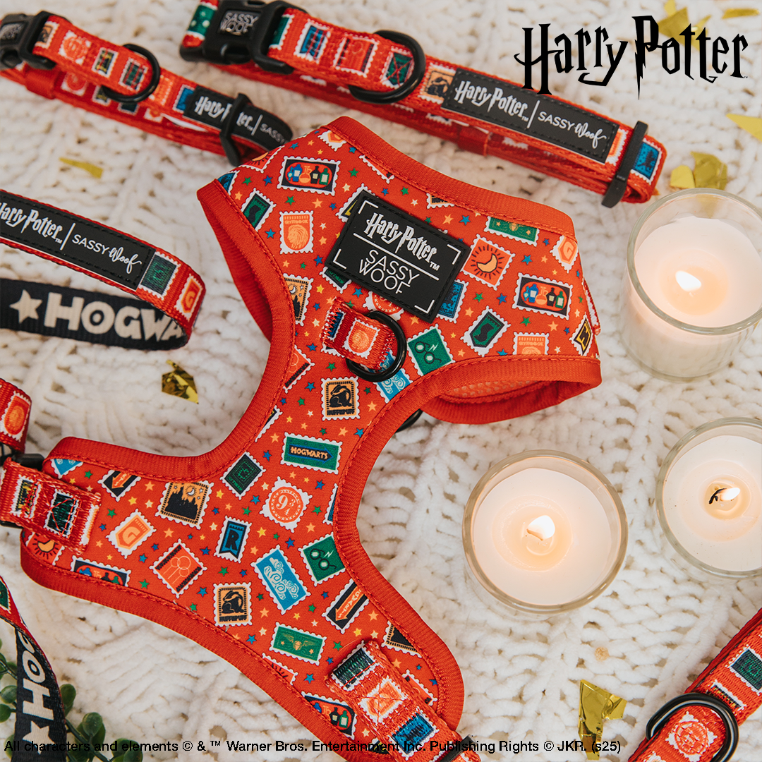 Dog Two Piece Bundle - Harry Potter™ Stamps