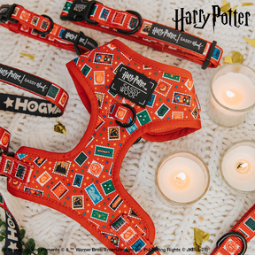 Dog Two Piece Bundle - Harry Potter™ Stamps