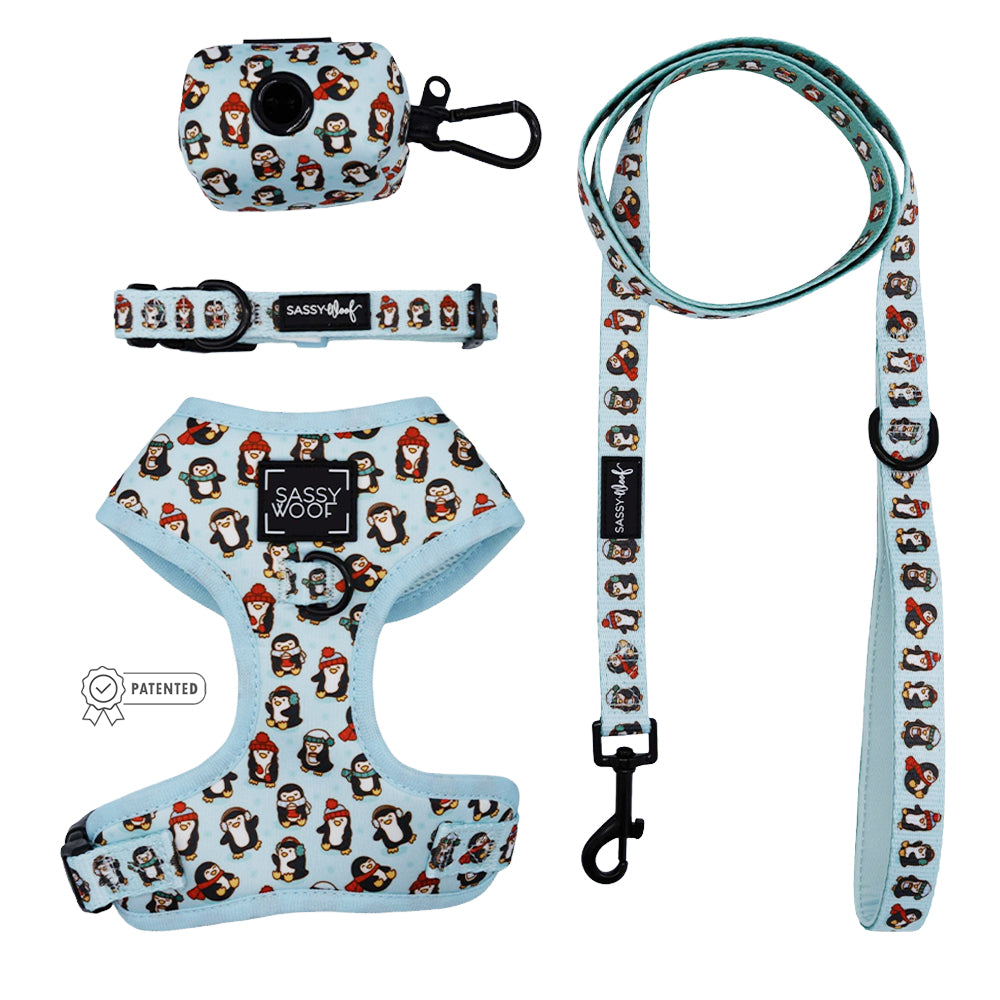 Dog Four Piece Bundle - Winter Waddleland
